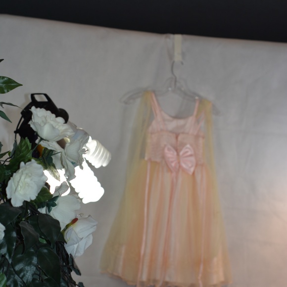 Thy Thy Peach Dress SZ 6 - Picture 10 of 10